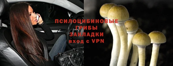 мескалин Осташков