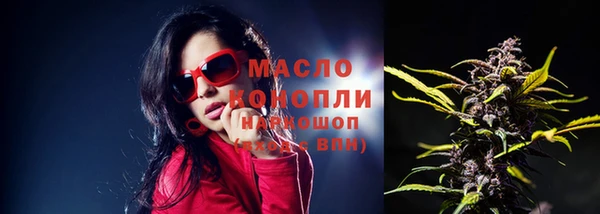 прущий лед Абаза