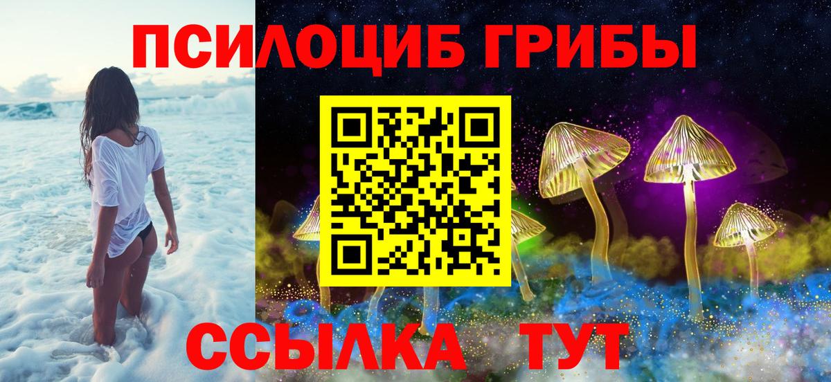 Чита  Галлюциногенные грибы мицелий  Псилоцибиновые грибы Psilocybine cubensis  Вход с VPN 